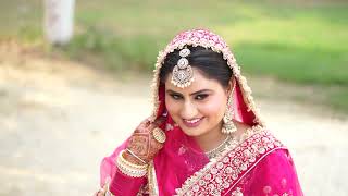 // Punjabi Wedding Highlights 2024// Pavittar Singh Weds Amarjit Kaur ----