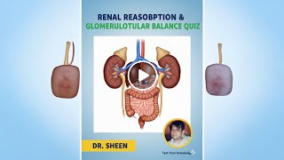 Renal Reabsorption & Glomerulotubular Balance Quiz-8