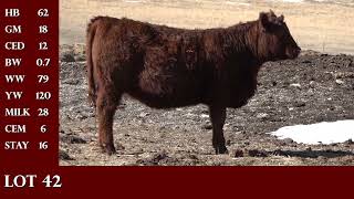 LOT 42 - FISCHER MONA 492