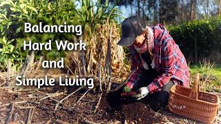 Permaculture Farmstead UK - How Self-Sufficient Can We Be This Year? Vlog 30