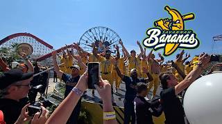 Savannah Bananas Perform at Disney California Adventure - Banana Ball Day 2026 | Disneyland Resort