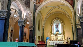 Live Mass with Fr. Michael Bertram on July 5th 2020