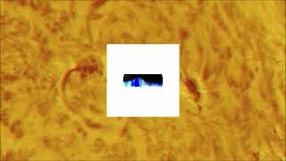 fases do sol [RARE]