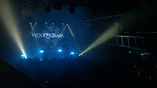 Woodscream - Водяной (10.02.2024 Стужа фест Москва)