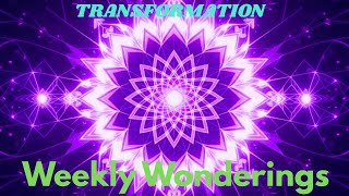 Weekly Wonderings with  @NancyJeansGarden  December 12-18 TRANSFORMATION