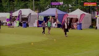 Relay for Life Donegal 2024 - Livestream