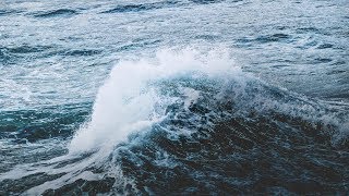 Marcus Warner - Osprey