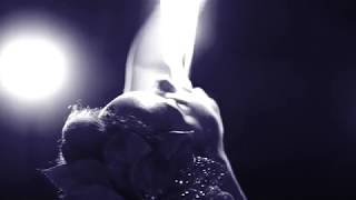 "Fever" By The Black Rabbit Society video by Box Visuals
