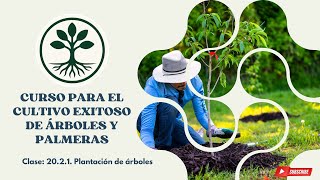 20.2.1. Plantación de árboles