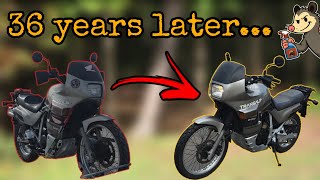 Reviving a 36-Year-Old Transalp