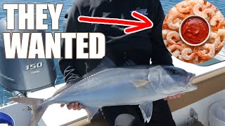 Winter fishing Steinhatchee in the Gamefish 25