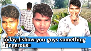 Today I 🌿🌿🌿🐝am seeingb || Tendupatta which 💓💓🤡🤡😘😈😍😍 is very dangerous  ....???