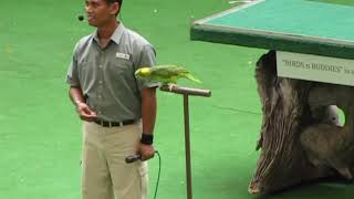 Jurong Birds Park 2009 (Singapore)