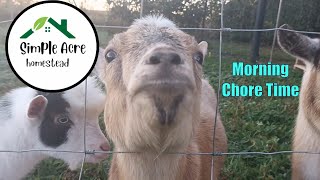 Come join me as I feed the animals on our 1 Acre Homestead.