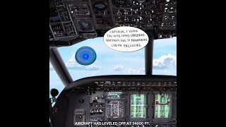 Robometrics AGI How-To Video: Companionship & Safety