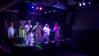 4901 Back To Black - The Spectacles