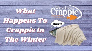 Wonder Where They Go In The Winter? Secrets Revealed!