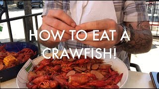 How To Eat A Crawfish