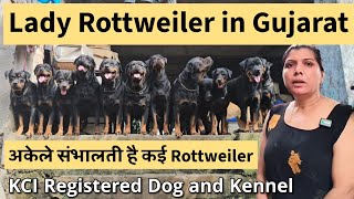 Lady Rottweiler in Ahmedabad Gujarat | Rottweiler Kennel in Ahmedabad | Puppy Price in 2025