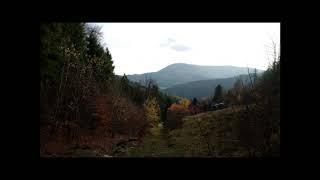 Paweł Jędrzejewski - Sonata in F minor K. 466 (D. Scarlatti)