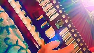 Accordion Cully Crusin w/Spaceneedle