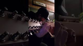 Blue Eyes Crying In The Rain - Willie Nelson Cover