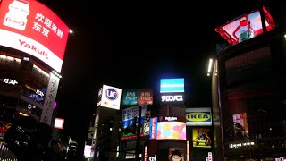 Birthday Weekend in Tokyo! 