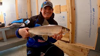 Late Ice Whitefish in Sturgeon Bay, WI (Underwater Footage) 3/11/22
