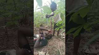 Shooting At The Forest (Saeed Idris Fun)