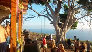 sirikit am magic tree