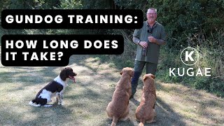 Training Spaniel & Retriever Gundogs: How Long Does It Really Take?