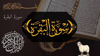 Tilawat e quran #quran #makkah #allah #islam #dua #hadith #deen