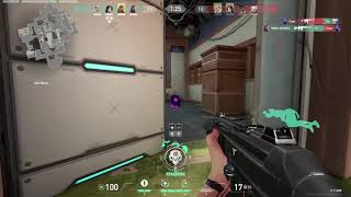 Reyna Ace without Ultimate