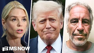 Trump got rid of Bondi because 'she was about to be deposed' in Epstein case: Dem Rep.