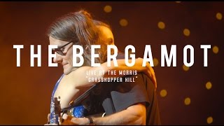 The Bergamot - Grasshopper Hill (Live at The Morris)