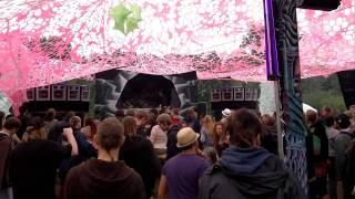 Psycrowdelica 2011