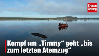 The fight for "Timmy" will go "until his last breath" | krone.tv NEWS