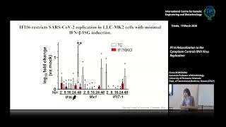 C. Borgogna - IFI16 Relocalization to the Cytoplasm ControlsRNA Virus Replication