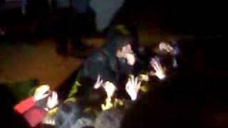 Julian Casablancas - Left & Right in the Dark (Live)