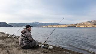 Winter Rainbow Trout Fishing on the River! (Catch Clean Cook)