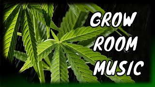 Music for Cannabis Grow 🌱 Plant Growth Music! - Grow Room Music (8hr)