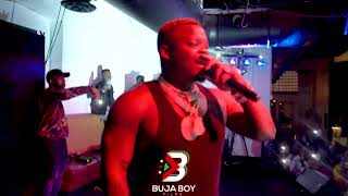 Harmonize - Live Show in USA