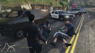 LSPD Case Logs #39 - Traffic Accident in Rural Los Santos