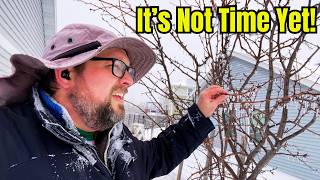 A Few Warm Days Doesn’t Mean Spring (Watch This Before Planting)