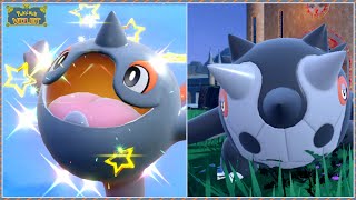 [Live] Shiny Cetoddle + Shiny Cetitan [Pokemon Violet] (Full Odds)