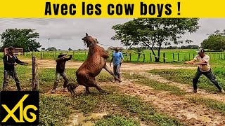 721 shares with Venezuelan cowboys in the heart of a hato #venezuela #farm #dressage