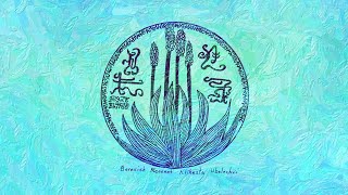 How We Create Karma in Dreaming (Body, Soul, Spirit) and Awakening