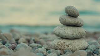 Wellness Music YOGA