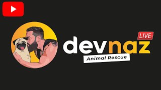🔴[ LIVE ] Very sick dog