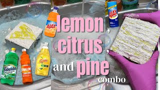 Lemon, Citrus & Pine Combo Sponge ASMR 🍊🌲🩵🍋